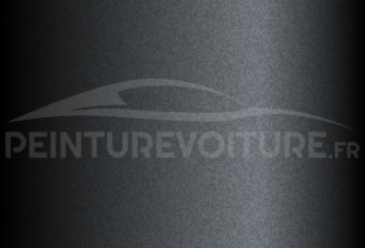 Code peinture Ford (Usa) 9R-6101 Graphite