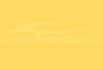 Code peinture Opel 9YW Sunglow