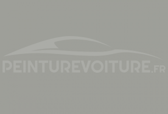 Code peinture Ford A U Woodsmoke Grey