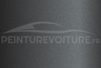 Code peinture Ford A0800 Storm Grey