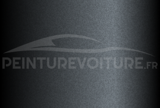 Code peinture Mitsubishi A10/CZA10010 Trout Gray