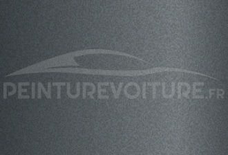 Code peinture Indian River (Rivian) A1AM Anthracite Grey
