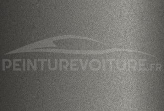Code peinture Toyota A1L1 Silver