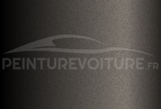 Code peinture Toyota A20M Grayish Brown