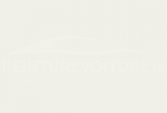 Code peinture Ford A4D Arctic White