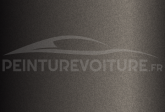 Code peinture Ssangyong ABP Space Grey Matt