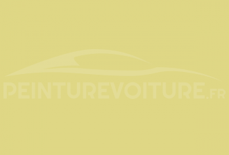 Code peinture Citroen AC 305 Jaune Jonquille