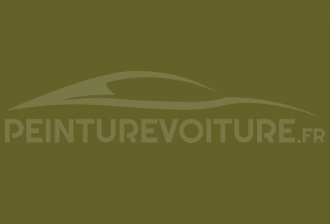 Code peinture Citroen AC 405 Vert Montana