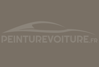 Code peinture Mitsubishi AC10653 Grey