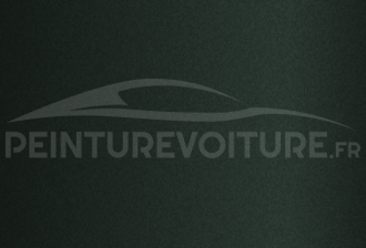 Code peinture Mitsubishi AC11119 Green