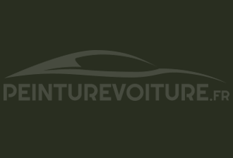 Code peinture Mitsubishi AC11197 Olive