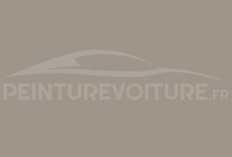 Code peinture Mitsubishi AC11235 Light Gray