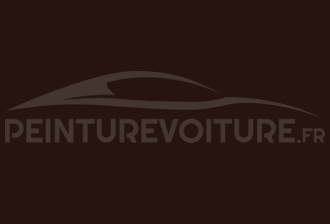 Code peinture Mitsubishi AC11317 Dark Brown