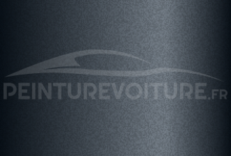 Code peinture Ssangyong ACG Tonic Grey