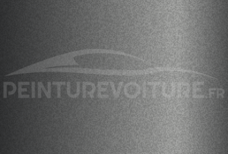 Code peinture Ssangyong ACI First Grey