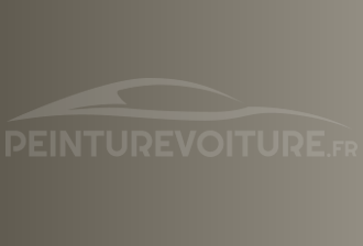 Code peinture Acura 753 Lt.silver