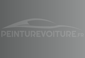Code peinture Acura NH583M New Vogue Silver