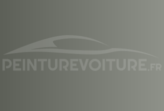 Code peinture Acura NH597M Citrous Silver