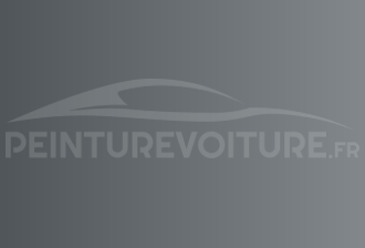 Code peinture Acura NH829M New Acura Silver