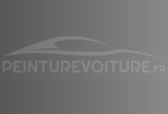Code peinture Acura NH84M Silver Grey