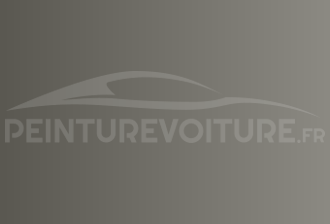 Code peinture Acura YR509P New Warm Silver
