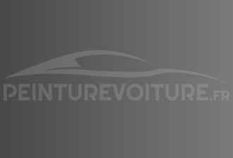 Code peinture Acura YR79M Savannah Grey