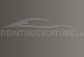 Code peinture Acura YR94M Seattle Silver
