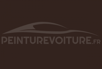 Code peinture Blmc-Rover BLVC 298 (AEB) Grosvenor Brown