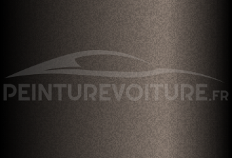 Code peinture Nissan AG0 Brownish Grey