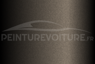 Code peinture Ssangyong AN/CS406 Antique Grey