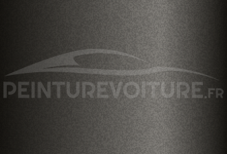 Code peinture Ssangyong AS/SS019 Tundra Grey