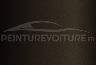 Code peinture Aston Martin AST5125D Marron Black