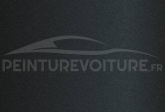 Code peinture Aston Martin AST5135H  Black Bear