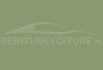 Code peinture DKW AU421 Toledogruen