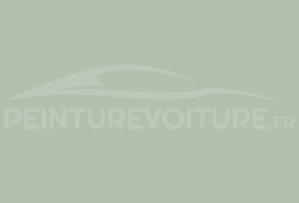 Code peinture DKW AU431 Pastellgruen
