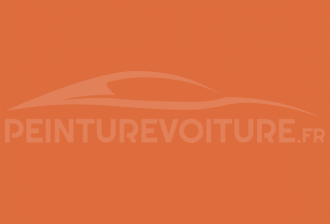 Code peinture Peugeot AXG Mandarine