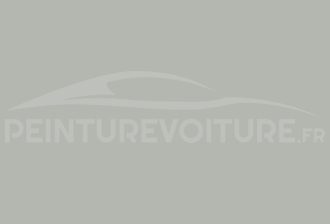 Code peinture Ford XSC217 Ascot Grey 