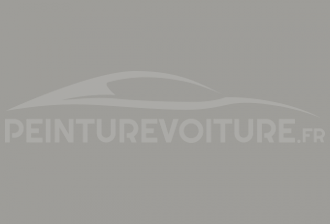 Code peinture Ford B U Platinum Grey