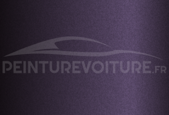 Code peinture Lotus B102 Aubergine Purple