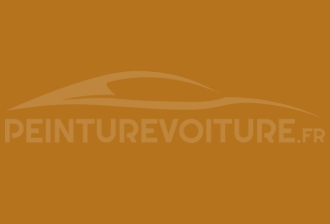 Code peinture Renault B31 Orange