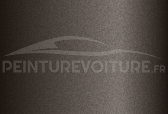 Code peinture Bertone B809 Grigio Chiaro