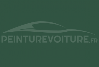 Code peinture Renault B94 Vert
