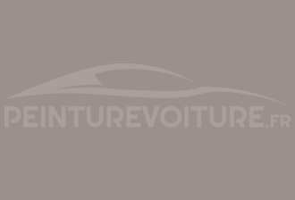 Code peinture Bentley 9520106 Dove Grey