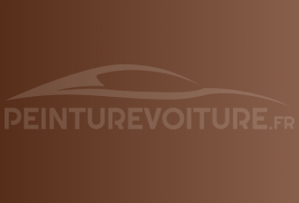 Code peinture Bentley 9540051 Amber