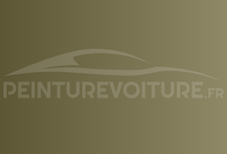 Code peinture Bentley 9560017 Iridium Gold