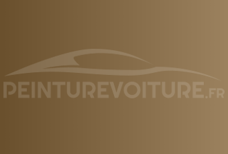 Code peinture Bentley 9560107 Antique Gold