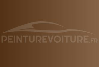 Code peinture Bentley 9560233 Camel