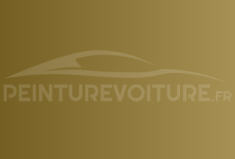 Code peinture Bentley 9560243 Julep