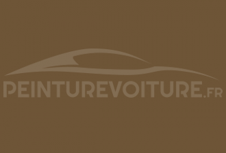 Code peinture Blmc-Rover BLVC 28 (ACB) Tabacco Leaf Brown