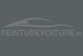 Code peinture Blmc-Rover BLVC1119 (LOD) Montgomery Council Grey